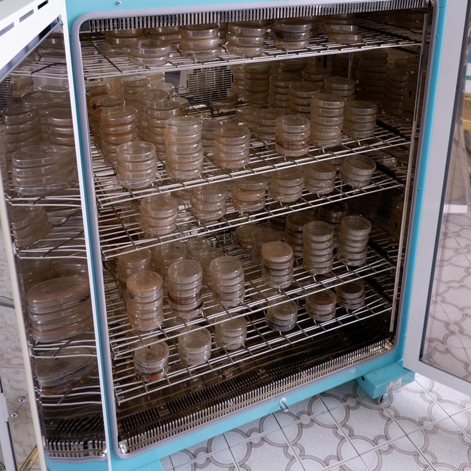 Воздушный стерилизатор КасПЗ ГП-640 ПЗ фото3