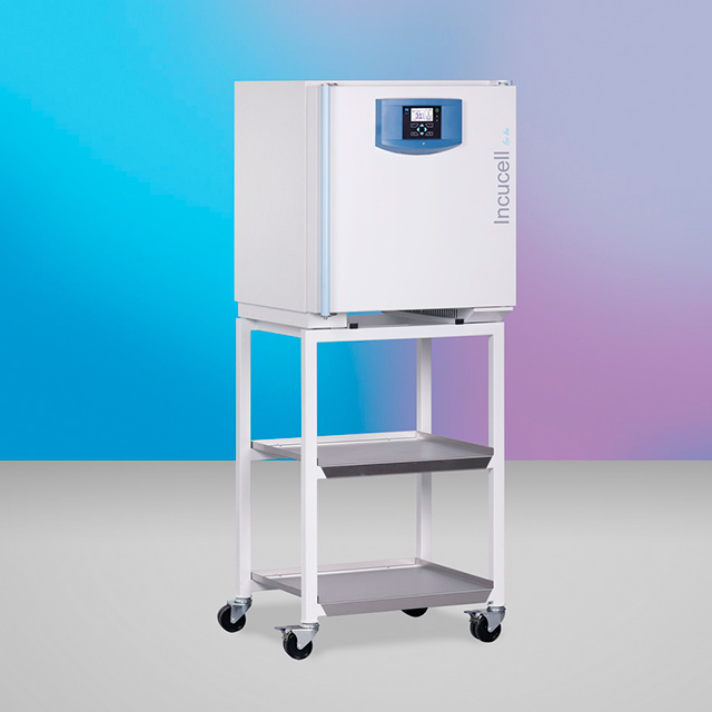 Инкубатор BMT INCUCELL 55 Инкубатор BMT INCUCELL 55: фотографии