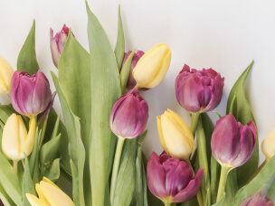 Дорогие женщины! Сердечно поздравляем вас с 8 Марта!