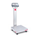 Платформенные весы OHAUS Defender 5000 D52P30RQDL2 фото1